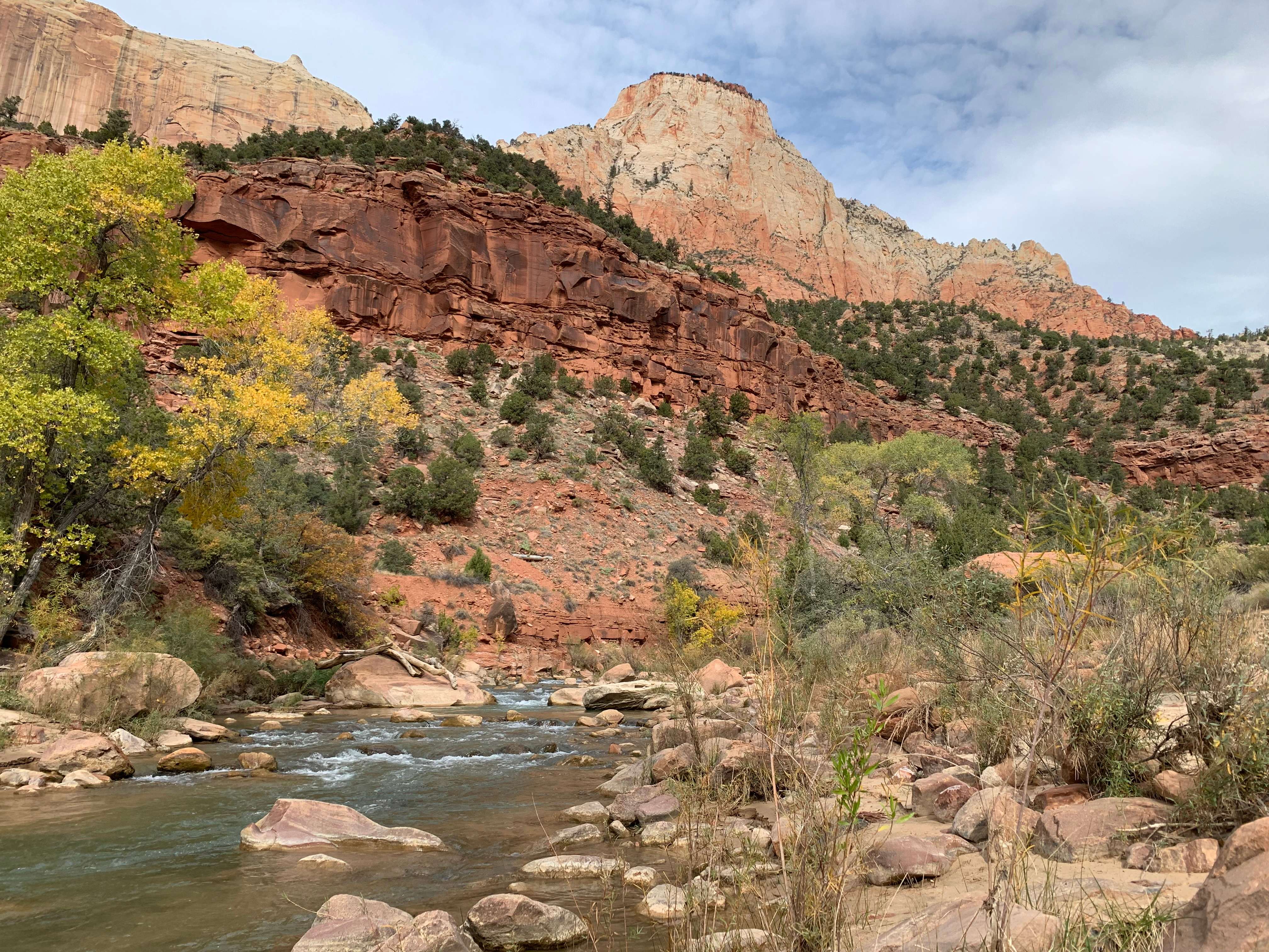 Zion NP